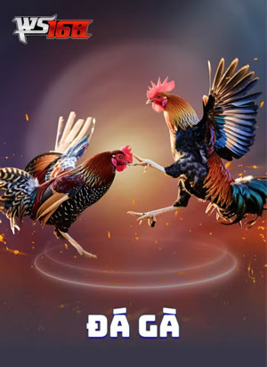 Trò Chơi Cao Cấp